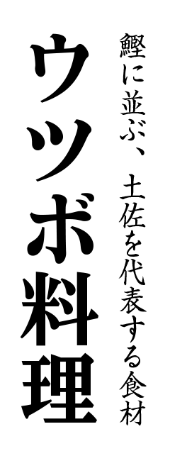 うつぼ料理 土佐料理 司 つかさ 祢保希 ねぼけ 公式通販